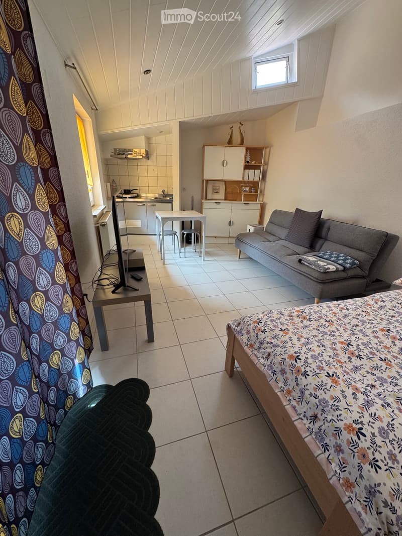 Furnished independent studio with terrace (3)