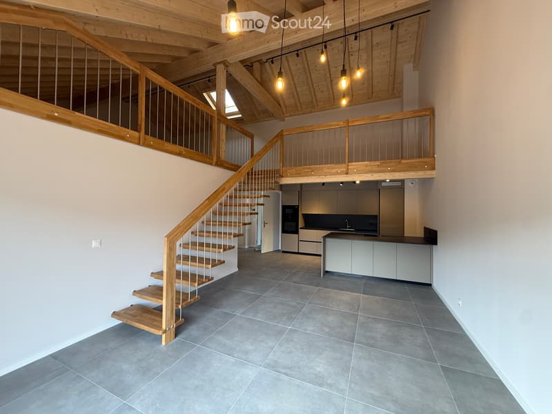 Superbe appartement neuf avec mezzanine (1)