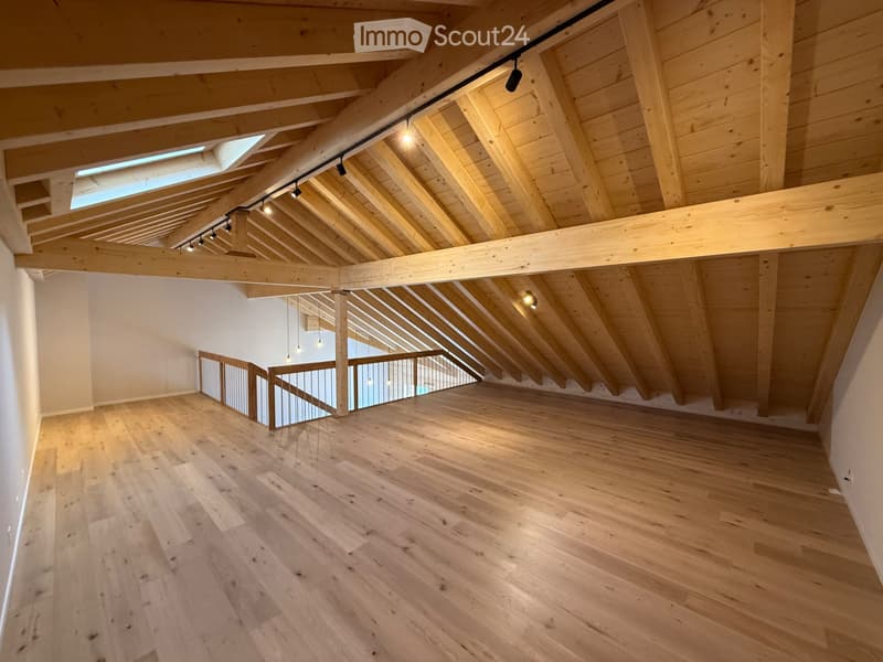 Superbe appartement neuf avec mezzanine (4)