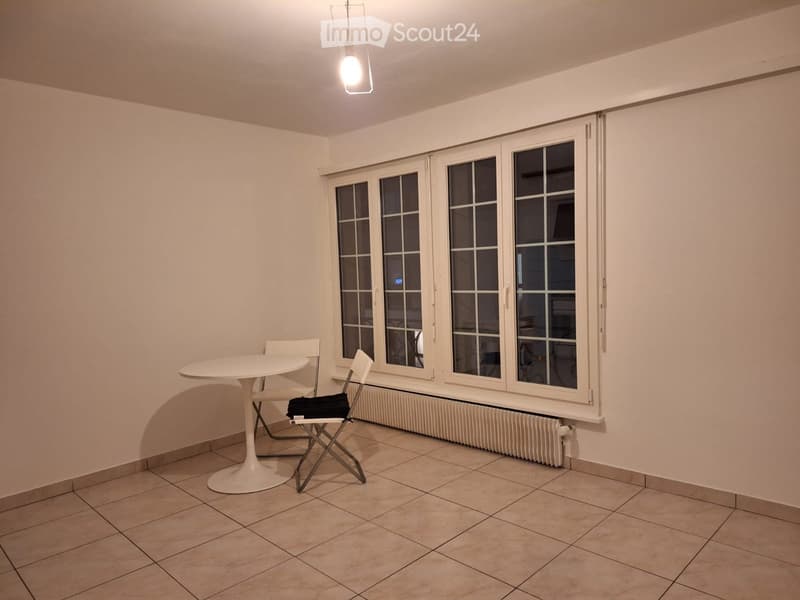 Zu vermieten Studio / Vevey (4)