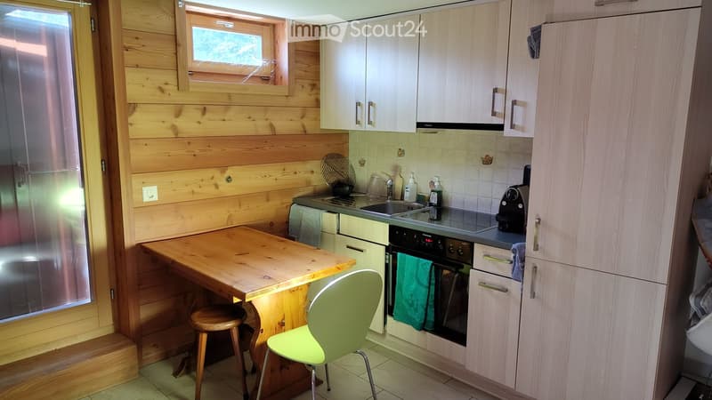 2 pièces meublé au rez d'un chalet à Mâche sur Hérémence (2)