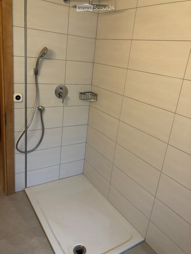 Wohnung zur Miete 3,5 Zimmer in Troistorrents (5)