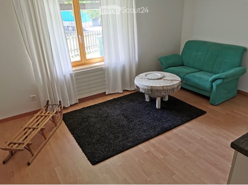 Appartement 2 pièces à louer (4)