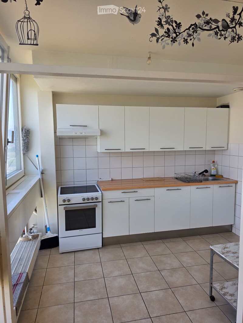Appartement 2.5 p meublé en sous-location au Lignon (5)