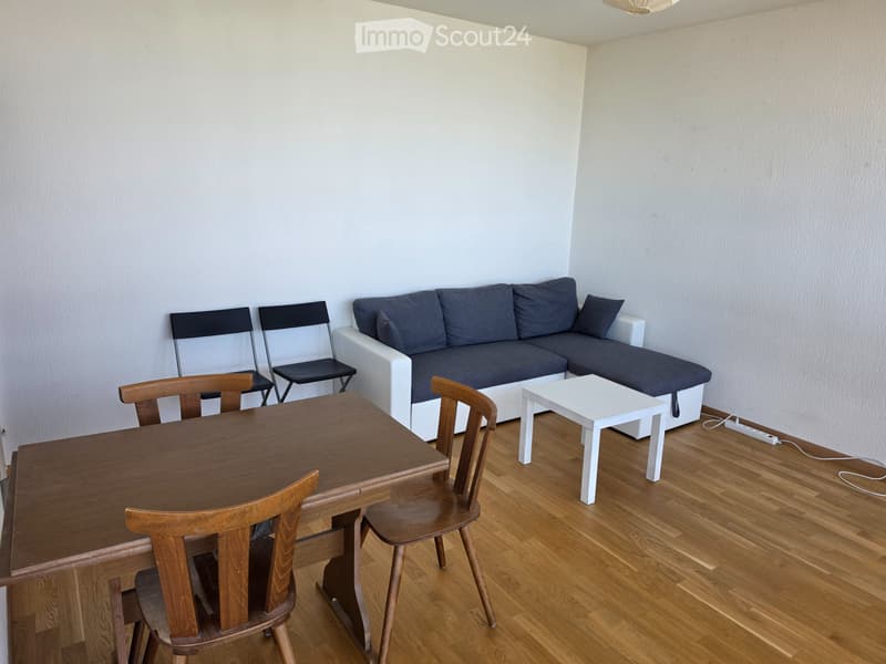 Appartement 2.5 p meublé en sous-location au Lignon (4)