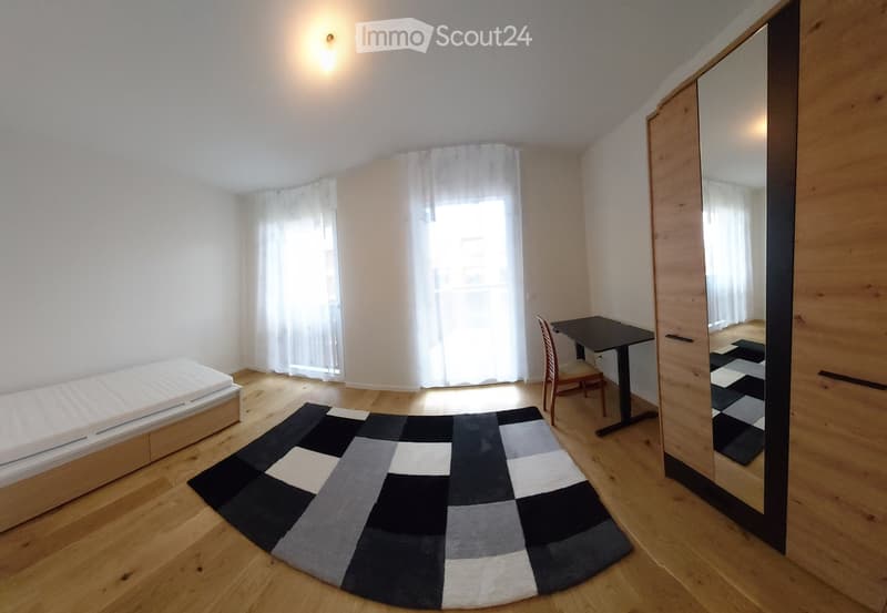 1 stanza arredata, nuovo, moderno, 110m2, 3° piano (2)