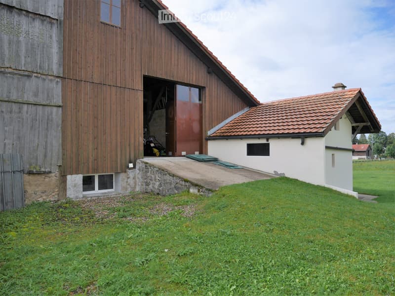 Les Verrières - Ground floor apartment with 5.5 rooms (10)