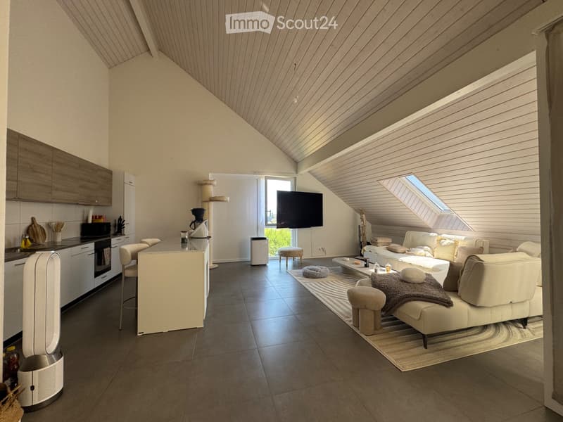 Reprise de bail : Appartement 3.5 pièces (2)