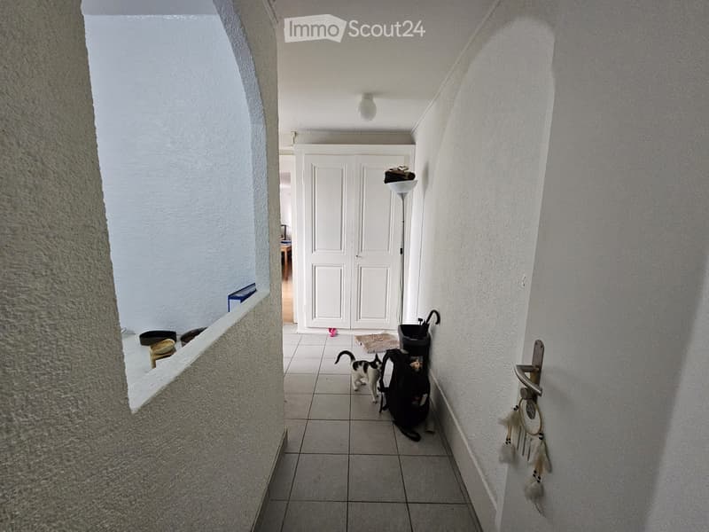 Zu vermieten großes 2.5-Zimmer-Apartment (5)