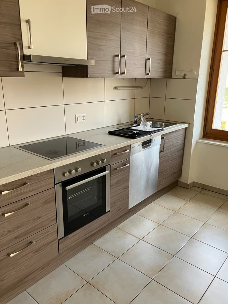 Schönes Apartment in der Nähe des Bahnhofs Delémont (1)