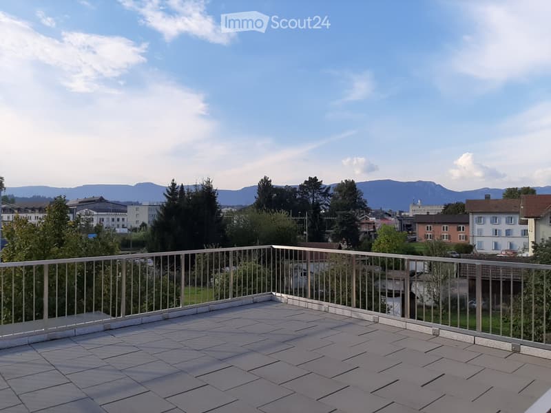 Charmante 2.5Zimmer-Dachgeschosswohnung mit großer Terrasse (1)