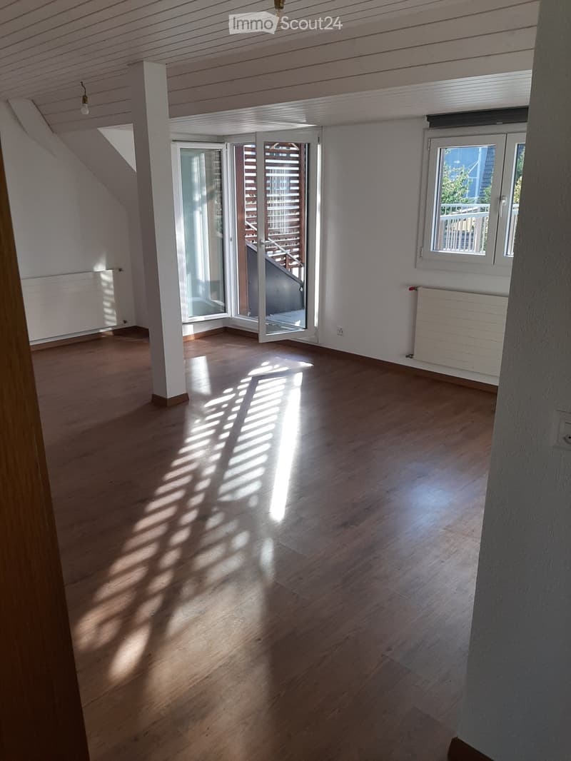 Charmante 2.5Zimmer-Dachgeschosswohnung mit großer Terrasse (2)
