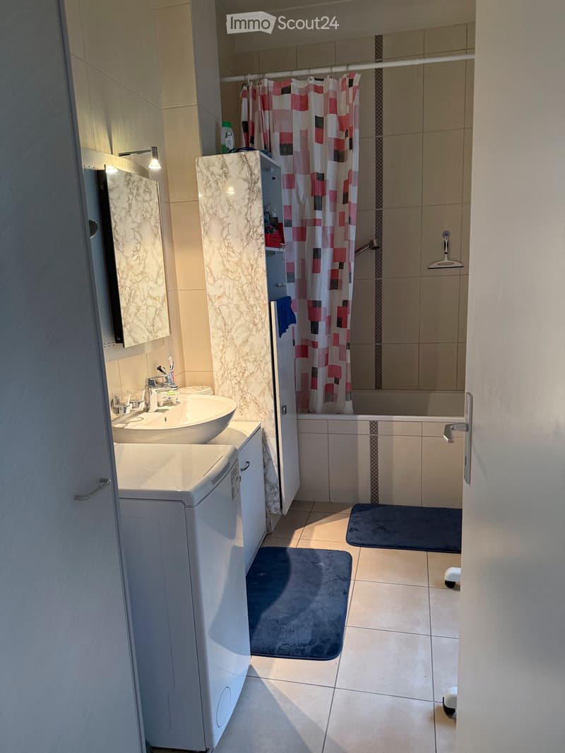 Außergewöhnliche Wohnung in der Nähe des Sees und der Geschäfte (5)
