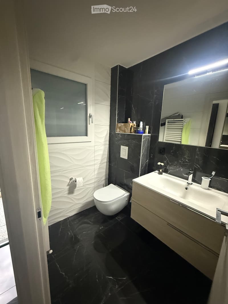 Zu vermieten 2.5-Zimmer-Wohnung hochwertig (5)