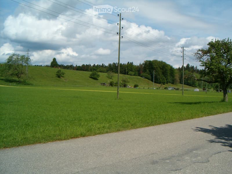 6 rooms - house - in Lotzwil (adjacent to Langenthal) (2)