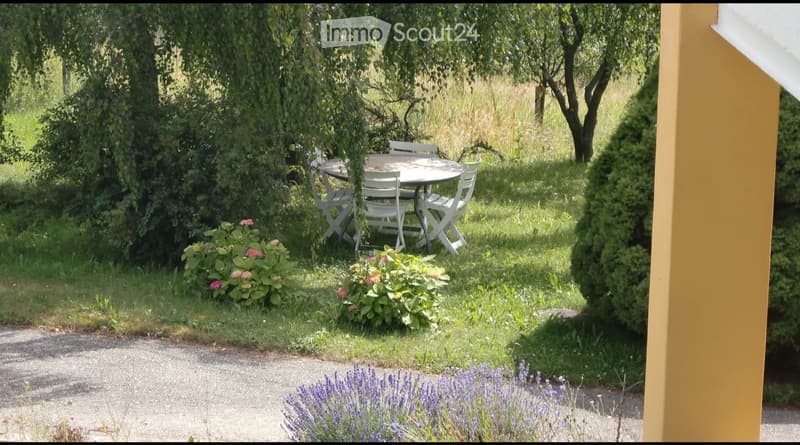 3,5 locali ristrutturati a piano terra caminetto terrazza giardino garage (5)