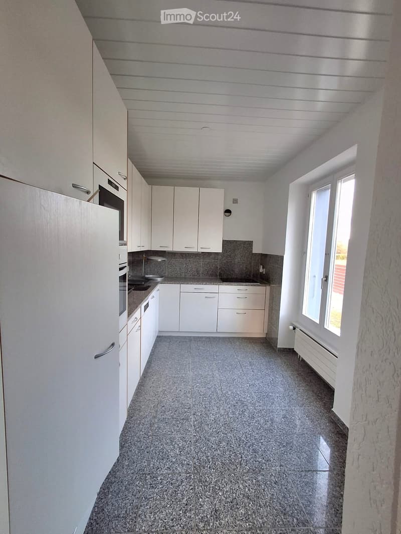 Charming individual house with 5 rooms for rent (3)