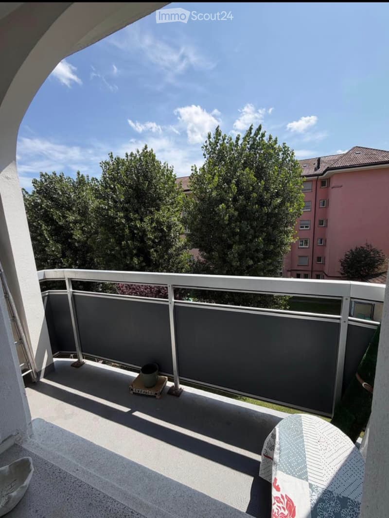 Beautiful apartment for rent in La Chaux-de-Fonds (1)