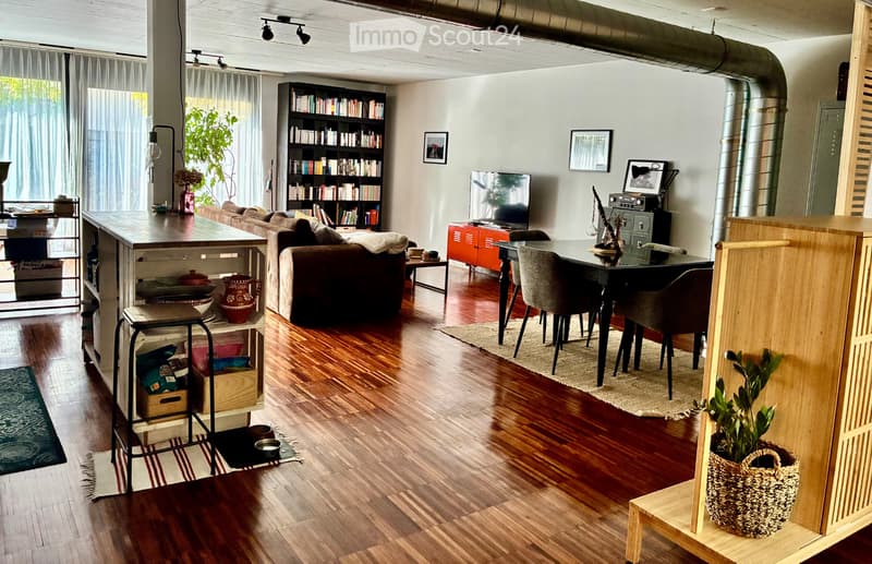 LOFT vicino al Lago (4)