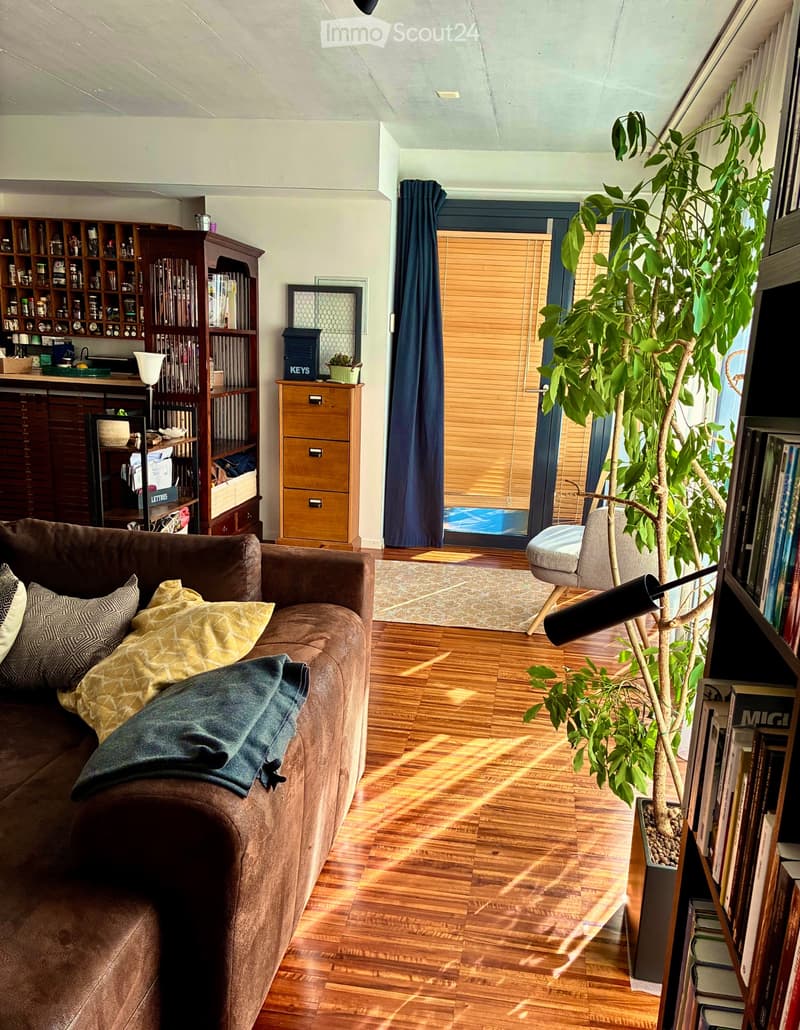 LOFT vicino al Lago (1)
