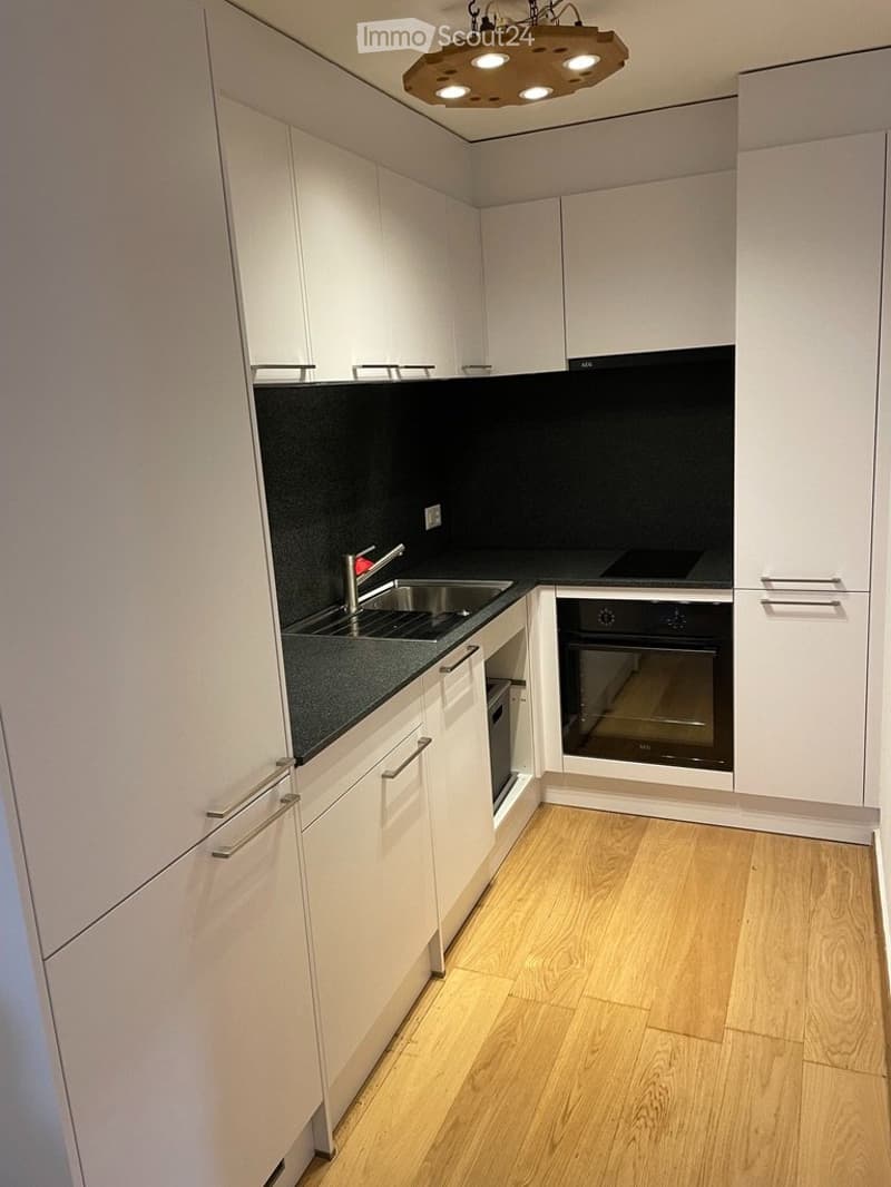 appartement 1,5, terrasse et place de parc (5)