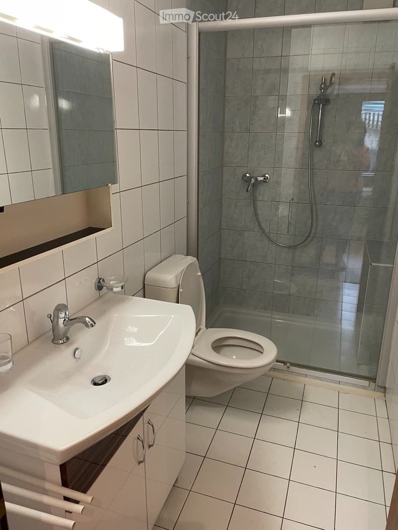 appartement 1,5, terrasse et place de parc (3)