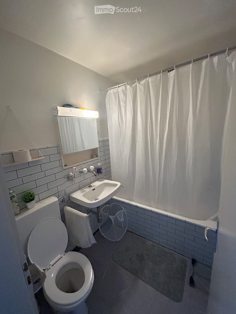2-room apartment in Cortaillod (3)