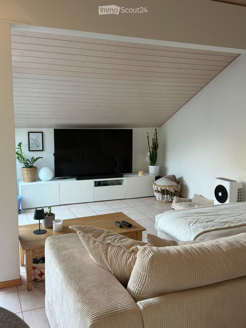 Appartamento con 3.5 locali, terrazza e balcone (1)