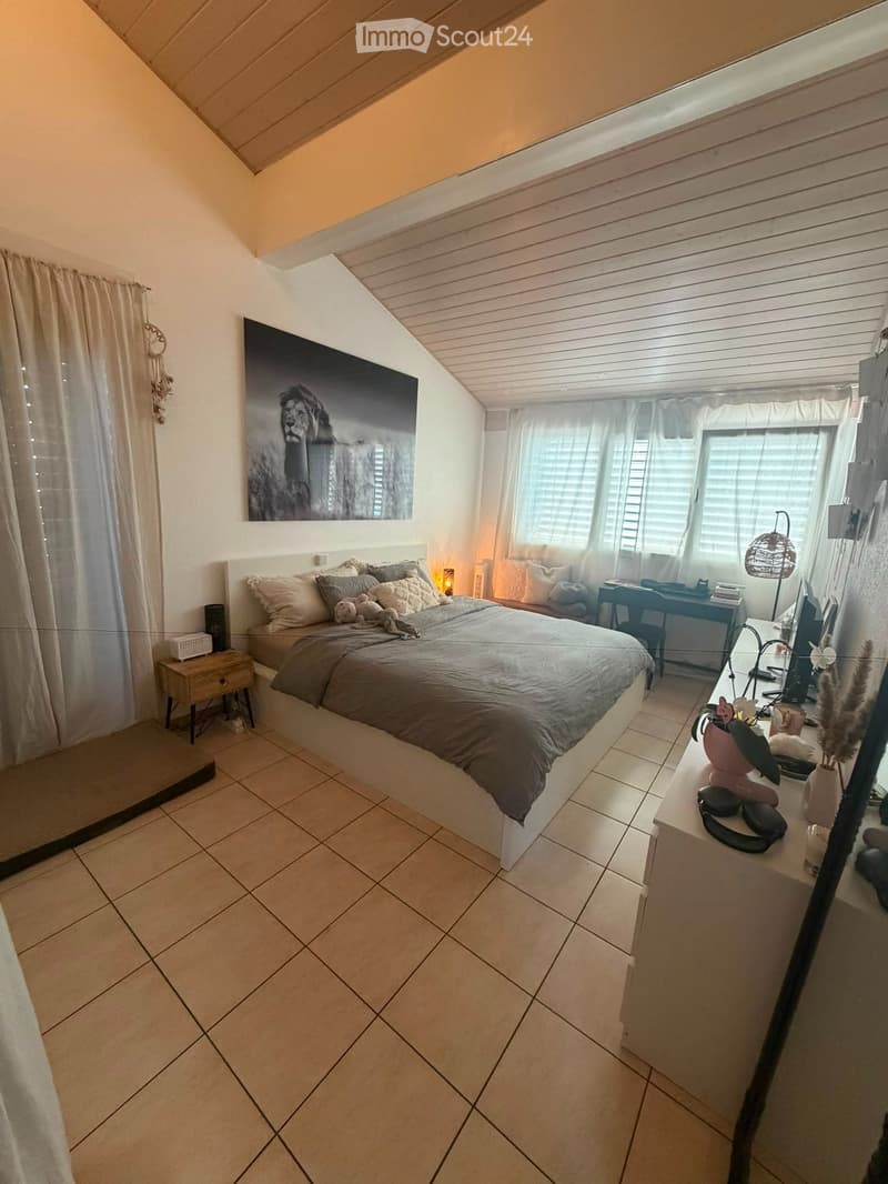 Appartamento con 3.5 locali, terrazza e balcone (3)