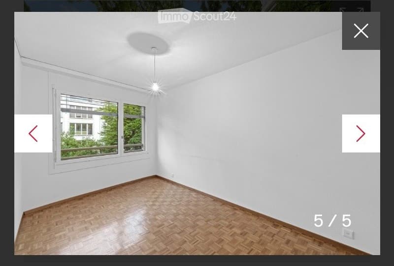 Appartement de famille avec terrasse à Champel (5)