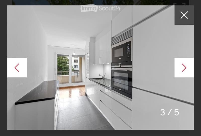 Appartement de famille avec terrasse à Champel (3)
