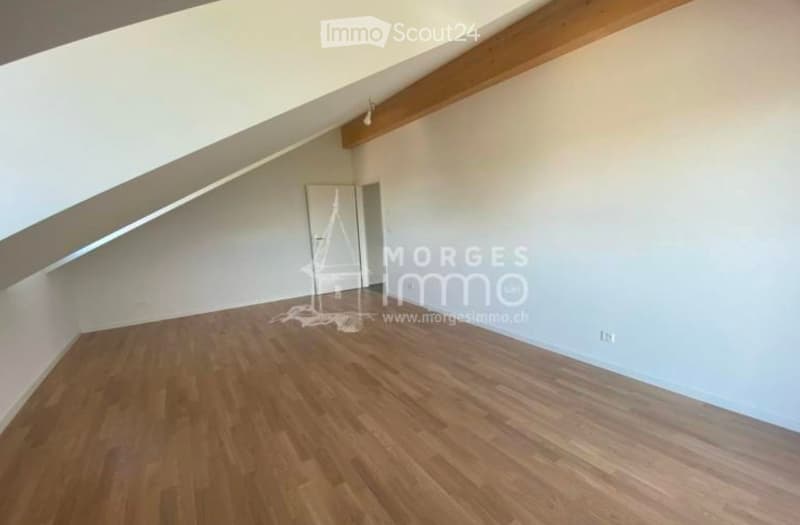 Magnifique appartement à Ballens (4)