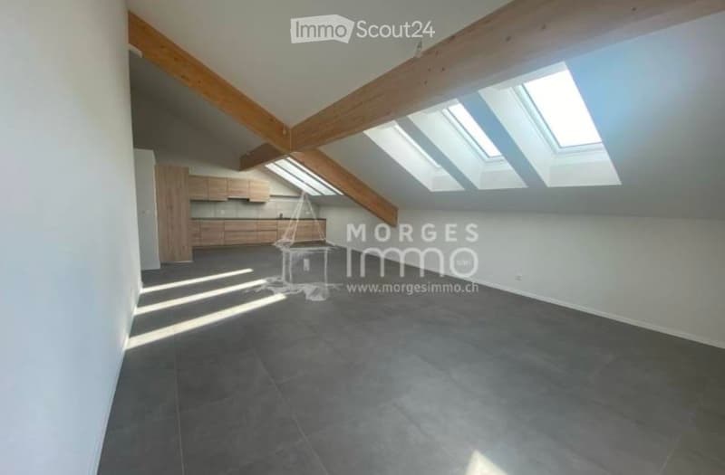 Magnifique appartement à Ballens (2)