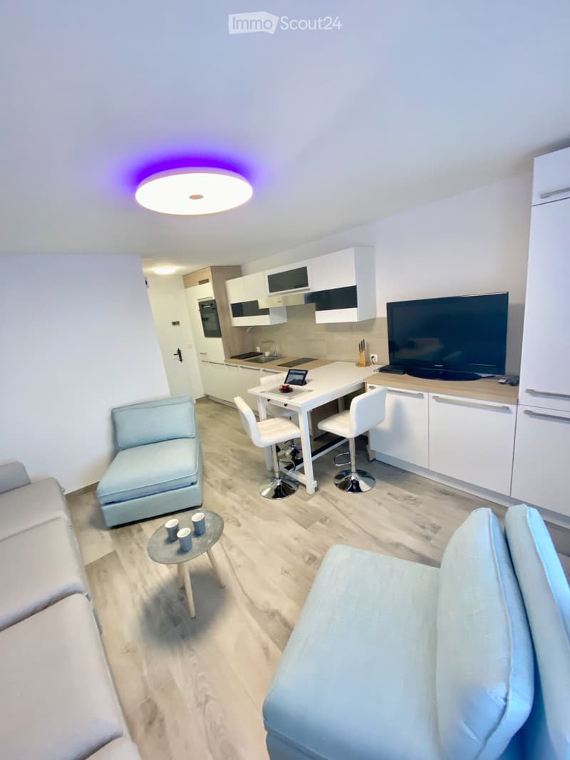Beautiful studio 1.5 rooms - completely renovated (1)
