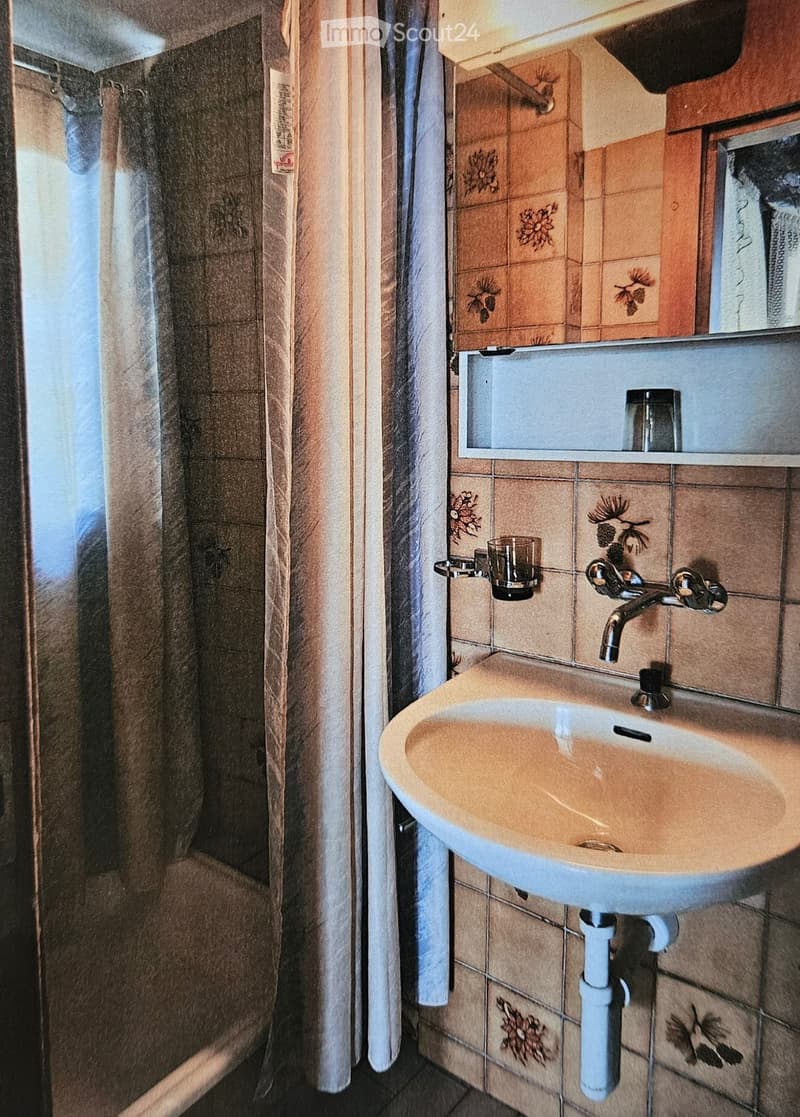 For rent 1 room apartment 1/2 in Sierre (4)