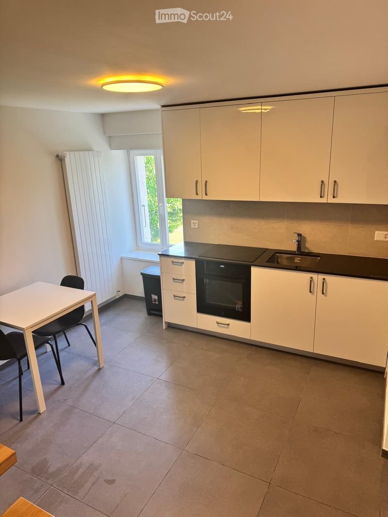 Duplex (2 pièces) meublé à Vésenaz  - Furnished duplex (4)