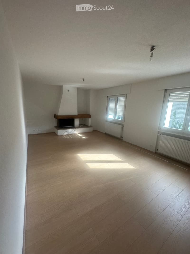 Apartment 5.5 rooms fully renovated for rent (2)