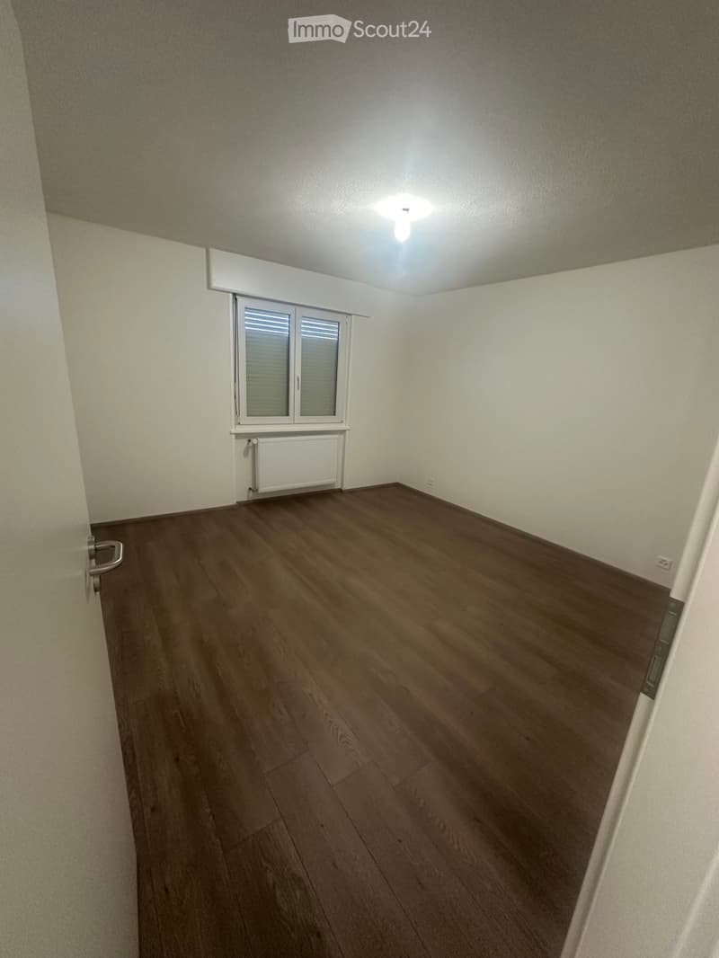 Apartment 5.5 rooms fully renovated for rent (3)