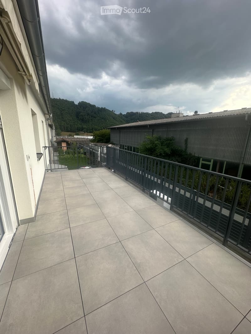 Apartment 5.5 rooms fully renovated for rent (5)