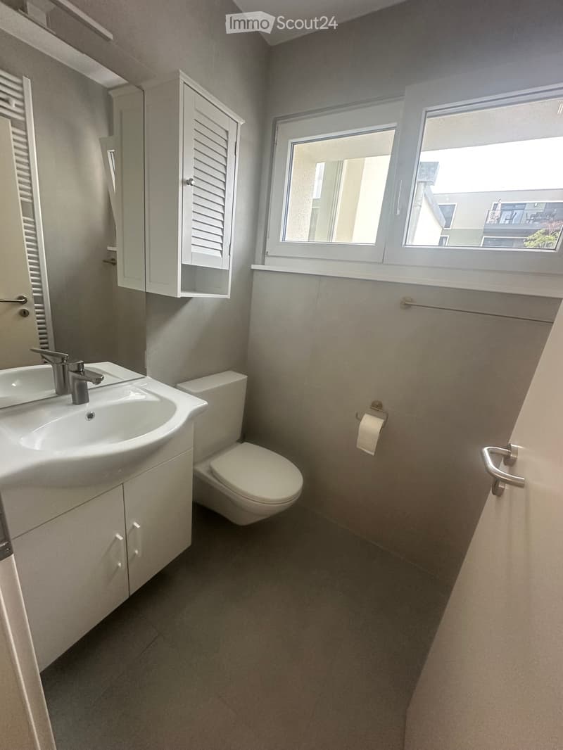 Apartment 5.5 rooms fully renovated for rent (4)