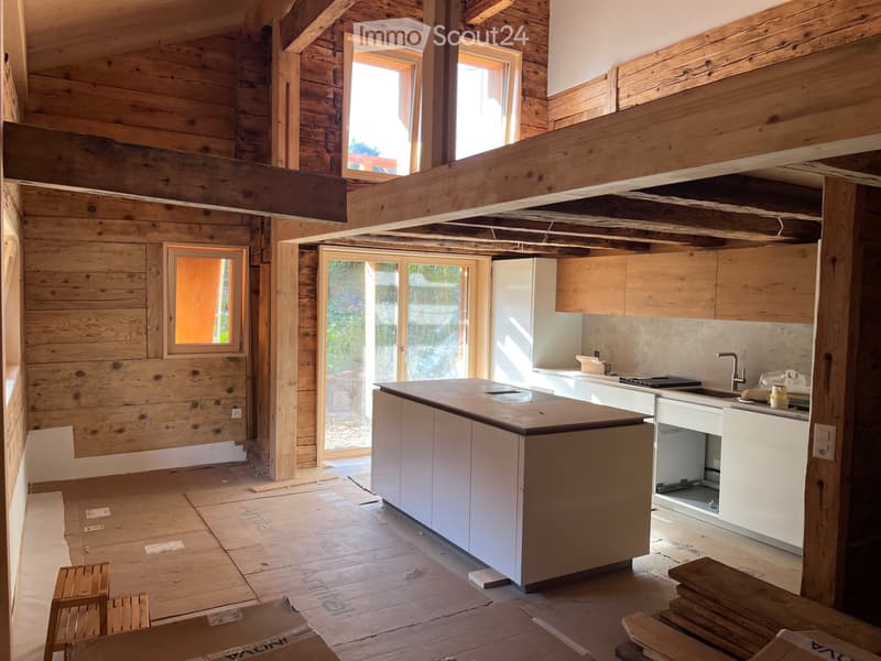 Magnifique duplex neuf, dans chalet individuel rénové en 26 (2)