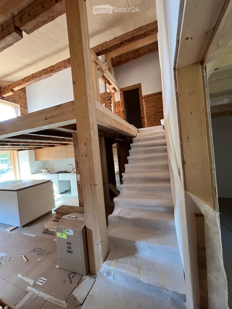 Magnifique duplex neuf, dans chalet individuel rénové en 26 (5)