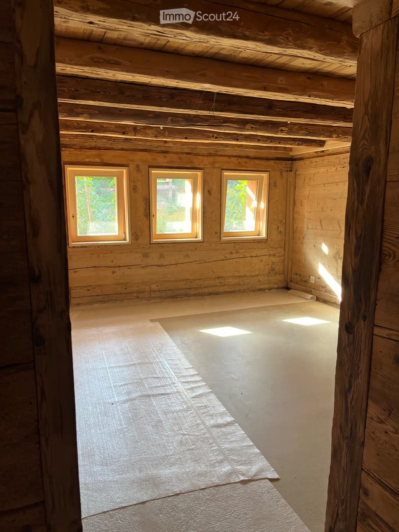 Magnifique duplex neuf, dans chalet individuel rénové en 26 (3)