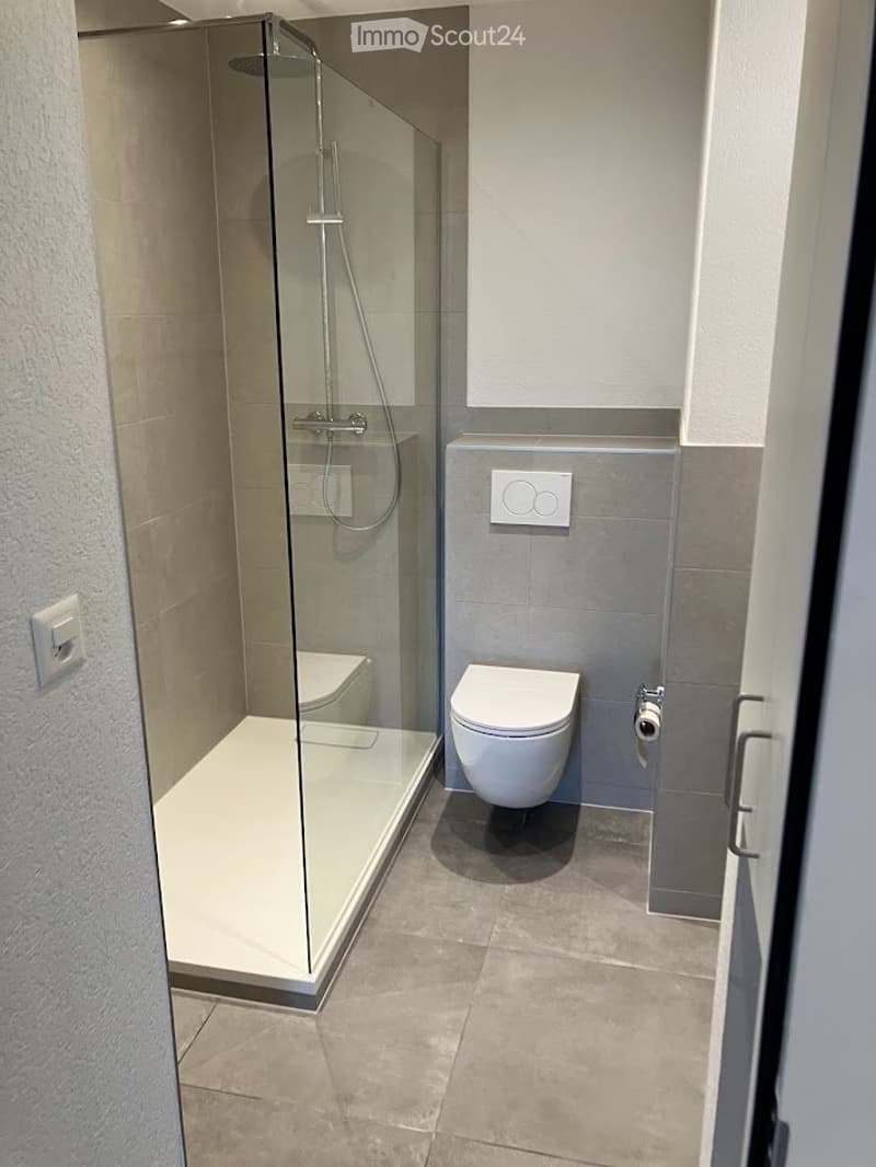 4.5 room apartment on the 3rd floor with elevator and 2 balconies (4)
