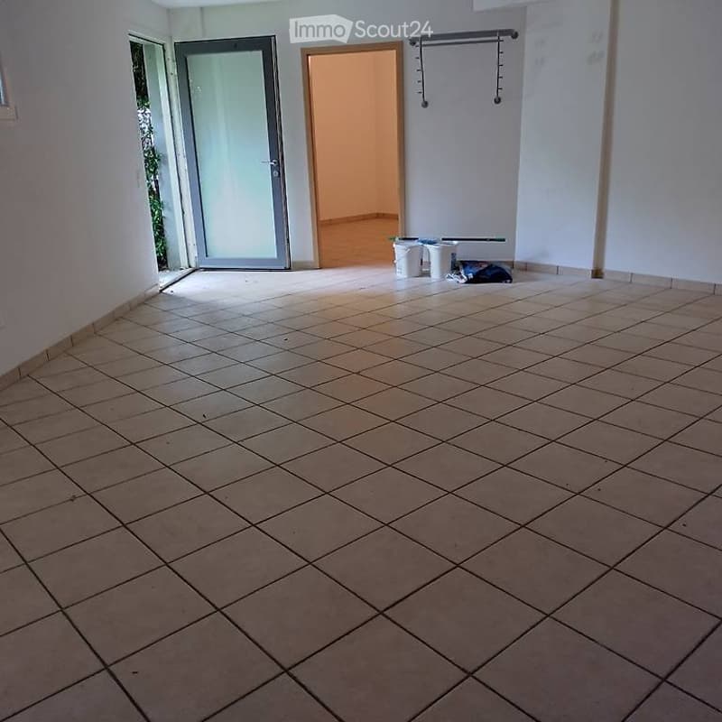 locazione interessante locale hobby, non abitazione (5)