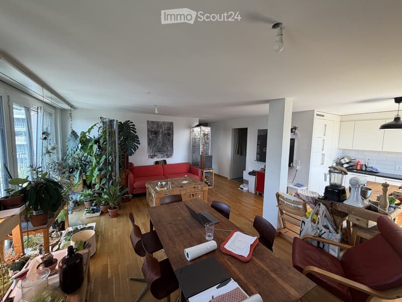 Recherche d'un colocataire pour notre maison de famille à Sévelin (1)