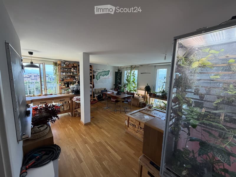 Recherche d'un colocataire pour notre maison de famille à Sévelin (2)