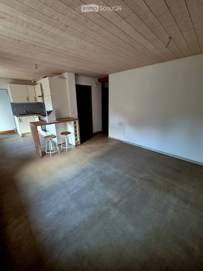 Apartment 2.5 rooms available immediately (2)