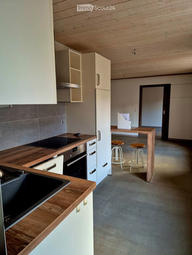 Apartment 2.5 rooms available immediately (1)