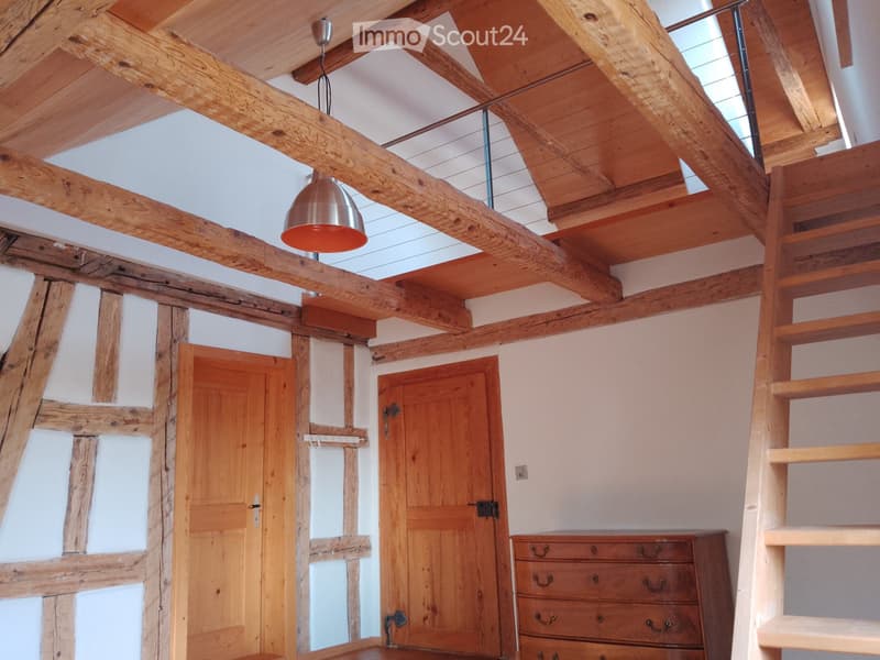 48 m2 pièce LILIA : 3 pièces en maisonnette - Bubikon (1)